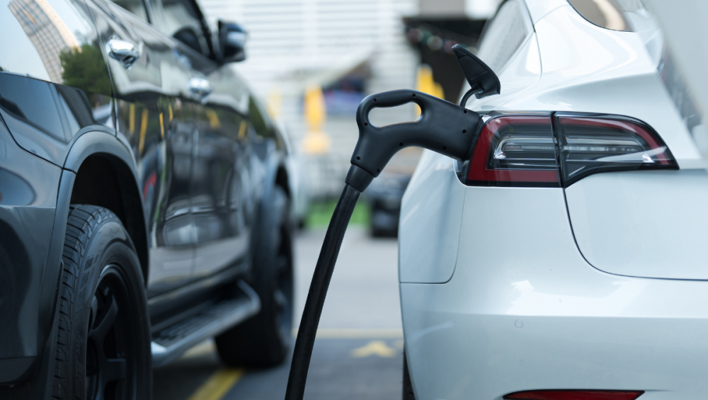 Economía de Combustible: Técnicas de Conducción para Ahorrar Gasolina